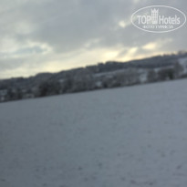 фото из отзыва ID 1448055