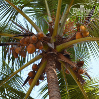 фото из отзыва ID 1448081