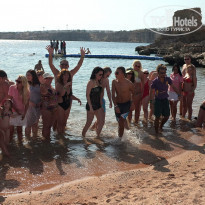 фото из отзыва ID 1447864