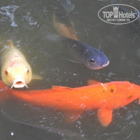 фото из отзыва ID 1448094