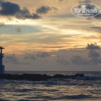 фото из отзыва ID 1448094