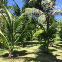 фото из отзыва ID 1448185