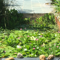 фото из отзыва ID 1448185