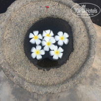 фото из отзыва ID 1448195