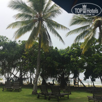 фото из отзыва ID 1448195