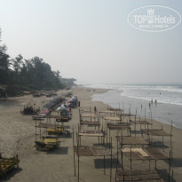 фото из отзыва ID 1448206