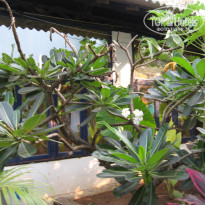 фото из отзыва ID 1448206