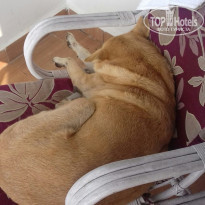 фото из отзыва ID 1448206