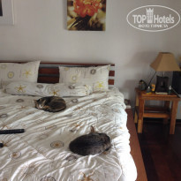 фото из отзыва ID 1448324