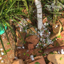 фото из отзыва ID 1448342