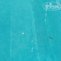 фото из отзыва ID 1448372