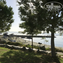 фото из отзыва ID 1447389