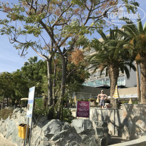 фото из отзыва ID 1447389