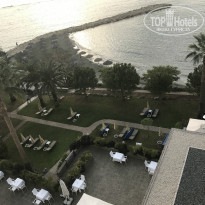 фото из отзыва ID 1447389