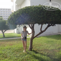 фото из отзыва ID 1448427