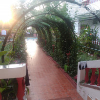 фото из отзыва ID 1448446