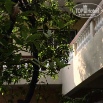 фото из отзыва ID 1448482