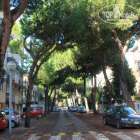 фото из отзыва ID 1448549