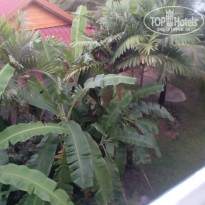 фото из отзыва ID 1448563