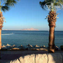 фото из отзыва ID 1448578