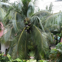 фото из отзыва ID 1443846