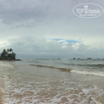 фото из отзыва ID 1448780