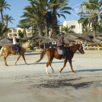 фото из отзыва ID 1448793