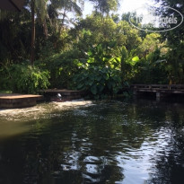 фото из отзыва ID 1448816