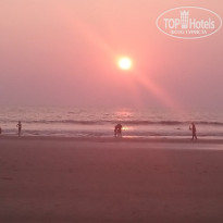 фото из отзыва ID 1448886