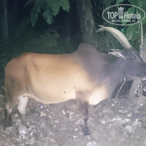 фото из отзыва ID 1448886