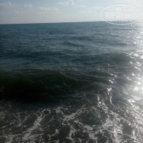 фото из отзыва ID 1448904