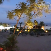 фото из отзыва ID 1448079