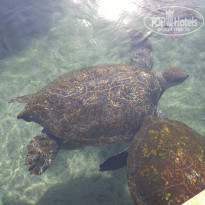 фото из отзыва ID 1449056