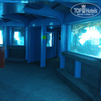 фото из отзыва ID 1449056