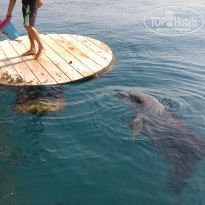 фото из отзыва ID 1449056