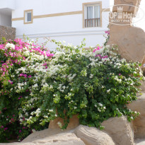 фото из отзыва ID 1449170