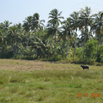 фото из отзыва ID 1449151