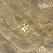 фото из отзыва ID 1449151