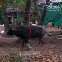 фото из отзыва ID 1449151