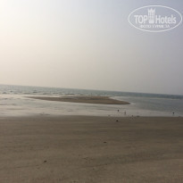 фото из отзыва ID 1449151