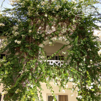 фото из отзыва ID 1449277