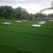 фото из отзыва ID 1449281