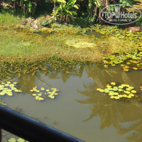 фото из отзыва ID 1449329