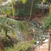 фото из отзыва ID 1449329