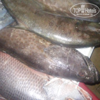 фото из отзыва ID 1449329