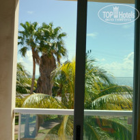 фото из отзыва ID 1449397