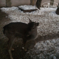 фото из отзыва ID 1449444