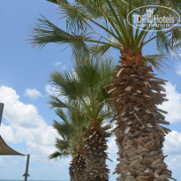 фото из отзыва ID 1449629