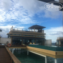 фото из отзыва ID 1449661