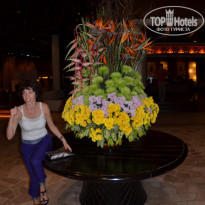 фото из отзыва ID 1449670